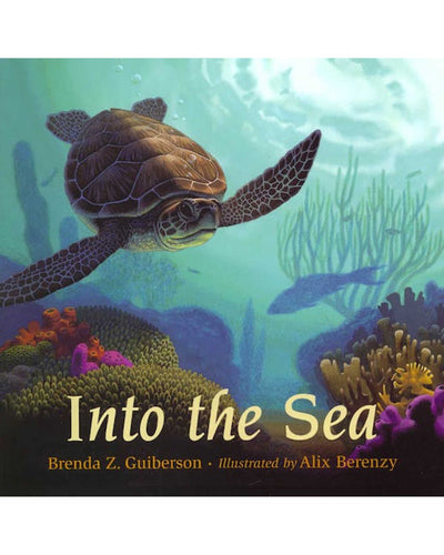 Into The Sea Paperback Book