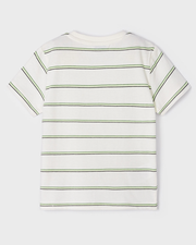 Green Striped Embroidered Surf Tee
