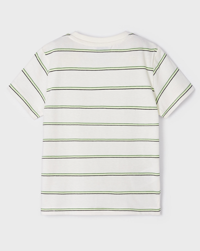 Green Striped Embroidered Surf Tee