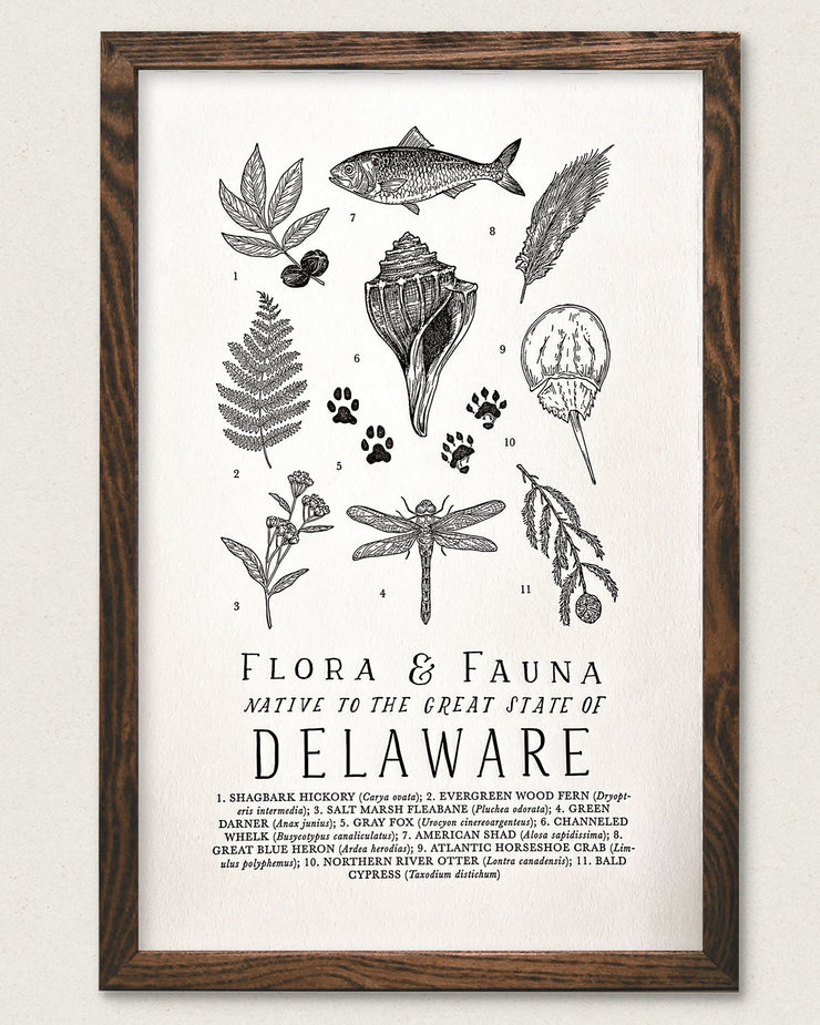 Delaware Field Guide
