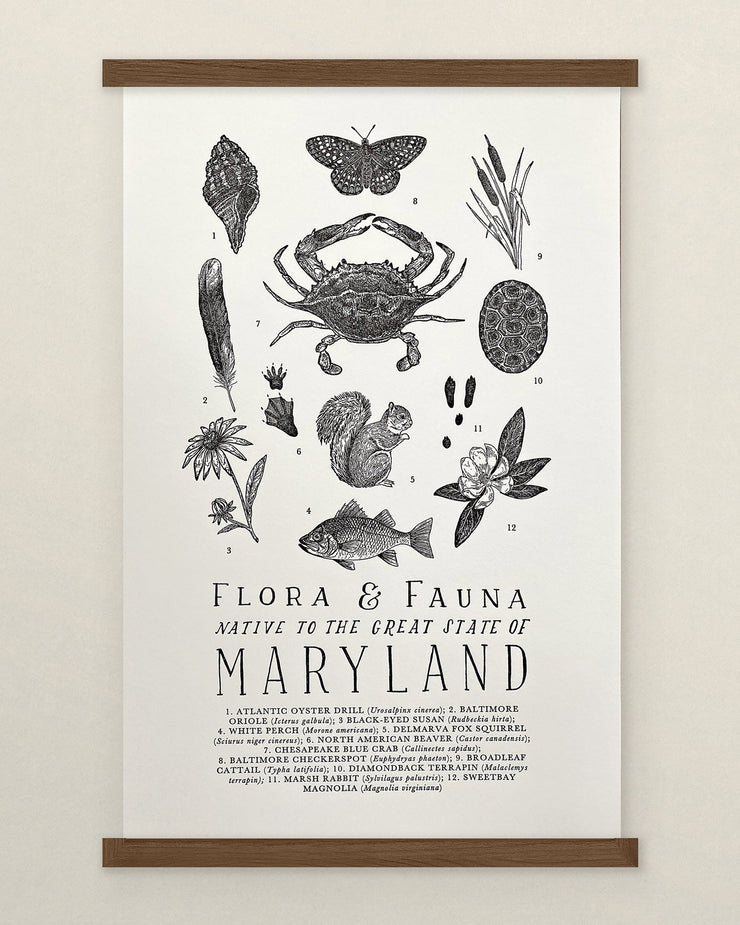 Maryland Field Guide